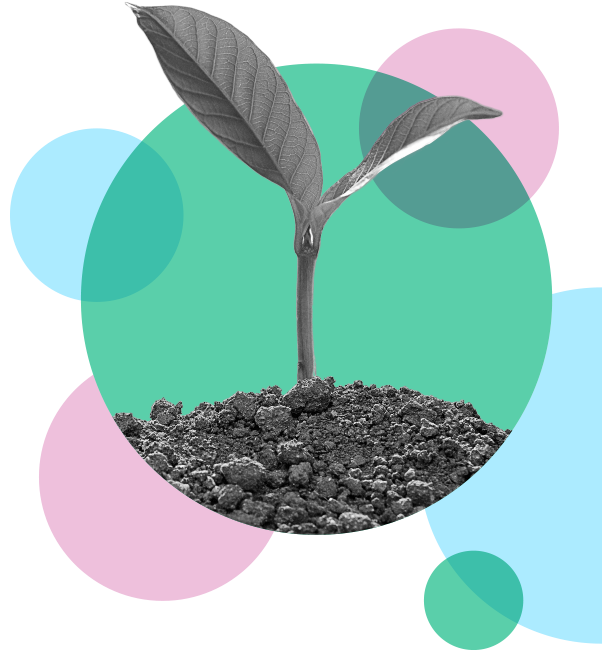 plant growing illustration